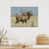 E4 Bull Elk Herd Boss Poster (Keuken)