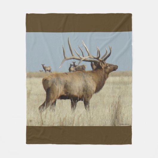E4 Bull Elk Herd Master Fleece Deken (Voorkant)