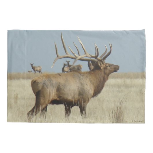E4 Bull Elk Herd Master Kussensloop (Achterkant)