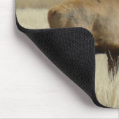 E4 Bull Elk Herd Master Muismat (Hoek)