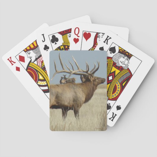 E4 Bull Elk Herd Master Pokerkaarten (Achterkant)