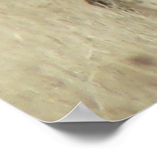 E4 Bull Elk Herd Master Poster (Hoek)