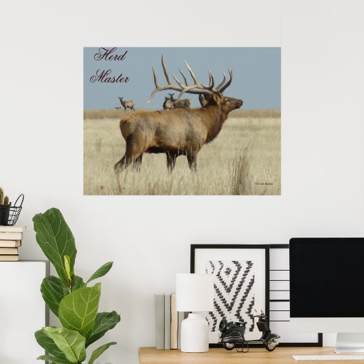 E4 Bull Elk Herd Master Poster (Thuiskantoor)