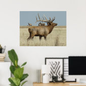 E4 Bull Elk Herd Master Poster (Thuiskantoor)