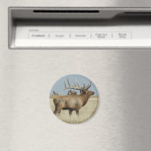 E4 Bull Elk Kudde Meester Magneet (Insitu (Vaatwasser))