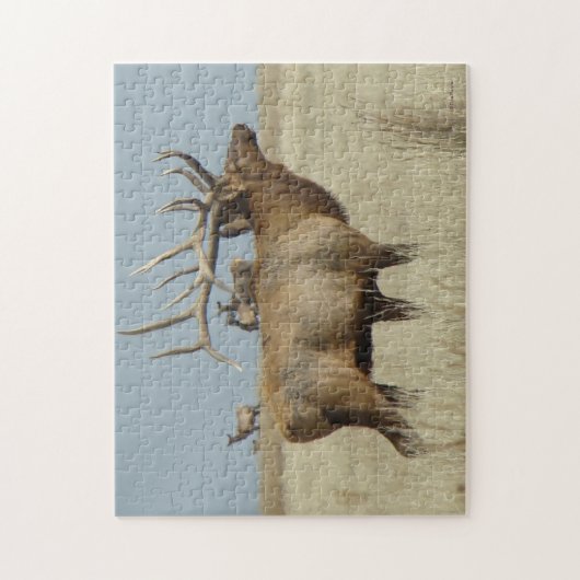 E4 Bull Elk Legpuzzel (Verticaal)