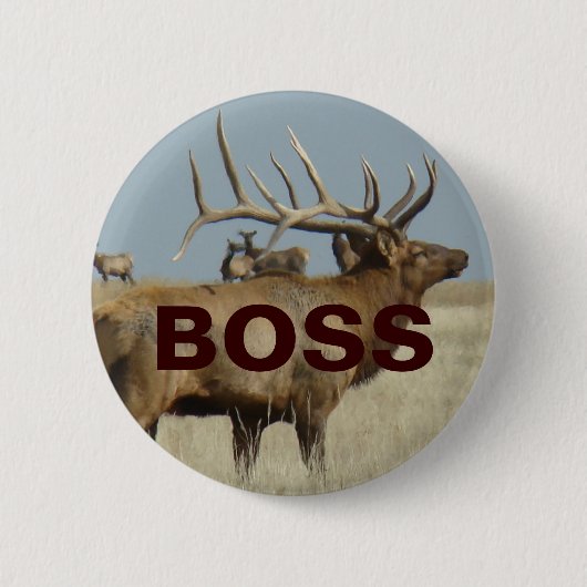 E4 Bull Elk Ronde Button 5,7 Cm (Voorkant)