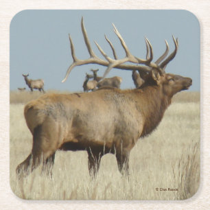 E4 Grote Stiereland Wapiti Kartonnen Onderzetters