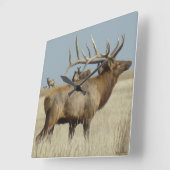 E4 Grote Stiereland Wapiti Vierkante Klok (Hoek)