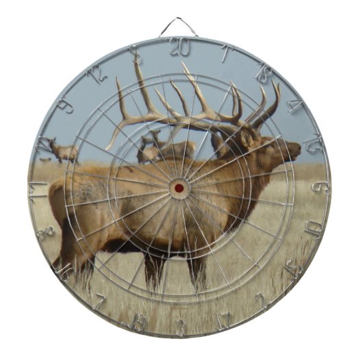 E4 Kudde Leider Mannetjeshert Dartbord (Voorkant)