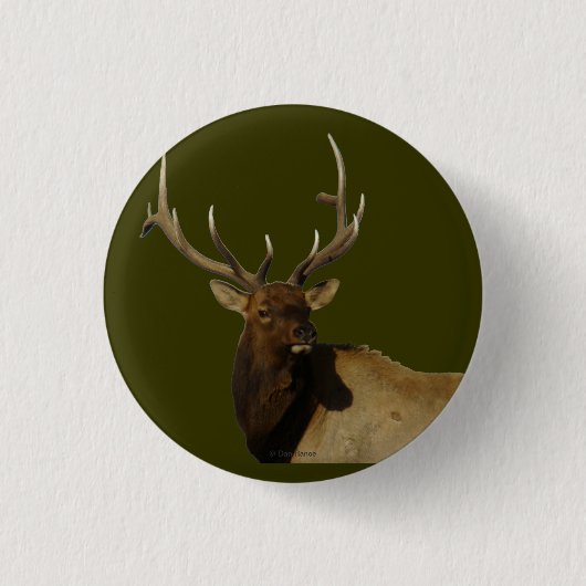 E50 Bull Elk Ronde Button 3,2 Cm (Voorkant)
