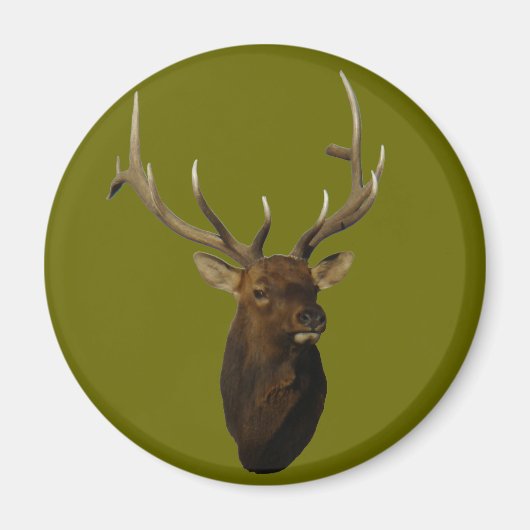 E51 Kop van Bull Elk Magneet (Voorkant)