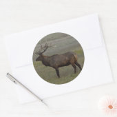E52 Grote Bull Elk Stier Ronde Sticker (Envelop)
