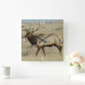 E55 Bull Elk Big Bull Vierkante Klok (Huis)