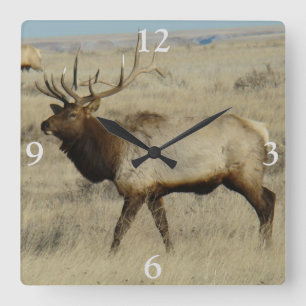 E55 Bull Elk Big Bull Vierkante Klok