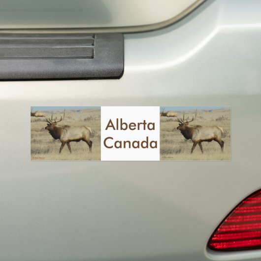 E55 Bull Elk Bumpersticker (Op auto)
