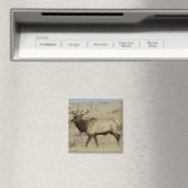 E55 Bull Elk Magneet (Insitu (Vaatwasser))