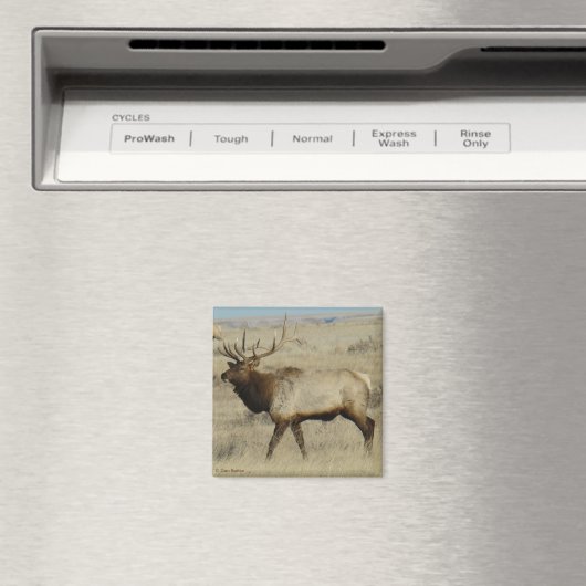 E55 Bull Elk Magneet (Insitu (Vaatwasser))