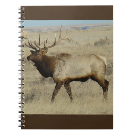 E55 Bull Elk Notitieboek