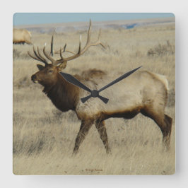 E55 Bull Elk Vierkante Klok