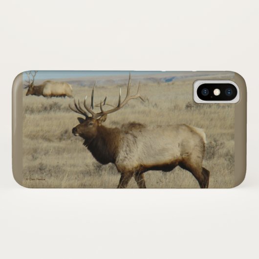 E55 Grote Bull Elk Stier Case-Mate iPhone Case (Achterkant (horizontaal))