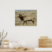 E55 Stiereland Poster (Keuken)