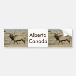 E55 Wapiti Bumpersticker