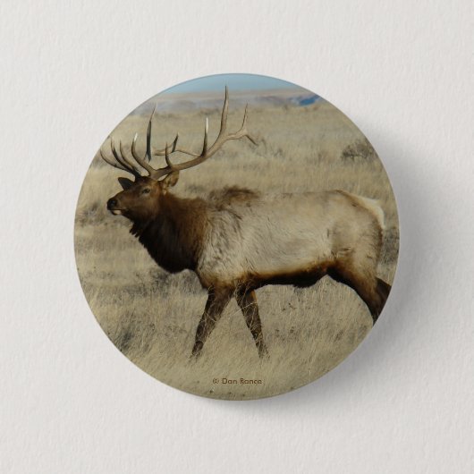 E55 Wapitihengst Ronde Button 5,7 Cm (Voorkant)