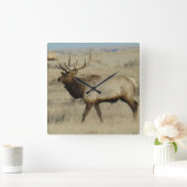 E55 Wapitihert Vierkante Klok (Huis)