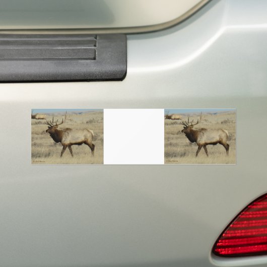 E55a elk bumpersticker (Op auto)