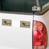 E55a elk bumpersticker (Op Truck)