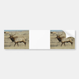 E55a elk bumpersticker