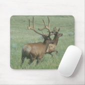 E56 Bull Elk in Velvet Muismat (Met muis)