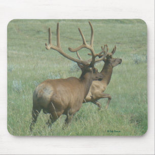 E56 Mannelijke Wapiti in Fluwelen Gewei Muismat