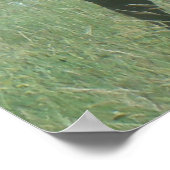 E56 Stierelk in Fluweel Poster (Hoek)