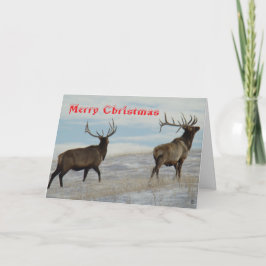 E57 Big Bulls on Snow Christmas Card Bedankkaart