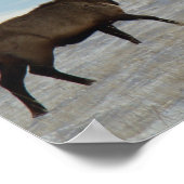 E57 Bull Elk Lucky 13 Bull Poster (Hoek)