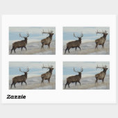 E57 Bull Elk Lucky 13 Bull Rechthoekige Sticker (Vel)