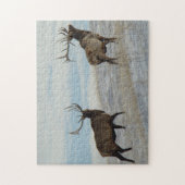 E57 Bull Elk Lucky 13 Stier Legpuzzel (Verticaal)