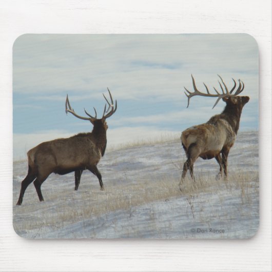 E57 Bull Elk Lucky 13 Stier Muismat (Voorkant)