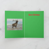 E58 Big Bull Elk On Snow Christmas Card Feestdagen Kaart (Binnen)