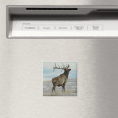 E58 Bull Elk Lucky 13 Bull Magneet (Insitu (Vaatwasser))