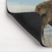 E58 Bull Elk Lucky 13 Bull Muismat (Hoek)