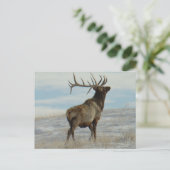 E58 Bull Elk Lucky 13 Stier Briefkaart (Staand voorkant)