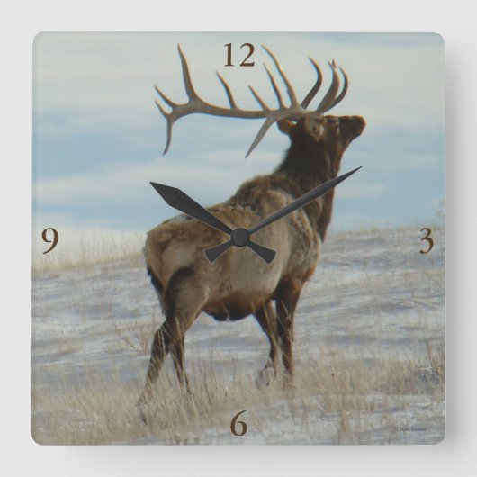 E58 Bull Elk Lucky 13 Stier Vierkante Klok (Voorkant)
