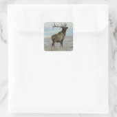 E58 Bull Elk Lucky 13 Stier Vierkante Sticker (Tas)
