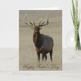 E59 Bull Elk Kaart