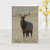 E59 Bull Elk Kaart (Gele Bloem)
