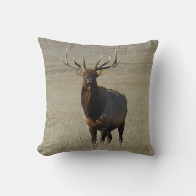 E59 Bull Elk Kussen (Voorkant)