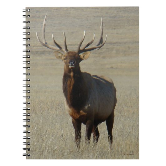 E59 Bull Elk Notitieboek (Voorkant)